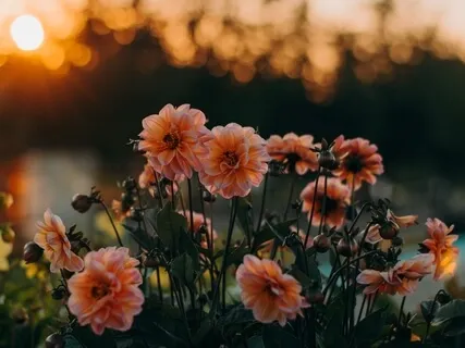 Root Chakra: Grounding