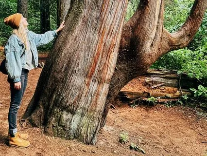 Root Chakra - Guided Meditation + Breathwork