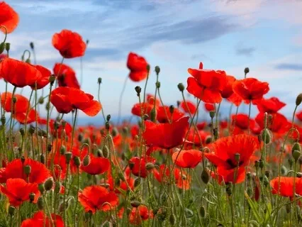 Root Chakra Meditation