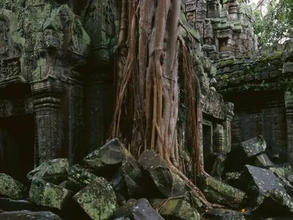 Root Chakra Healing 396 Hz