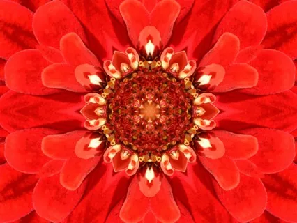 Root Chakra Healing - Affirmations + Visualization