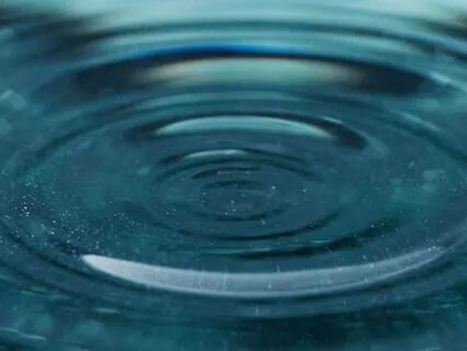 Root Chakra Healing For Business