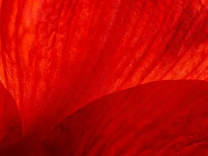 Root Chakra Healing – Grounded And Safe