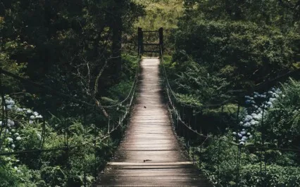 Root Chakra Healing Music