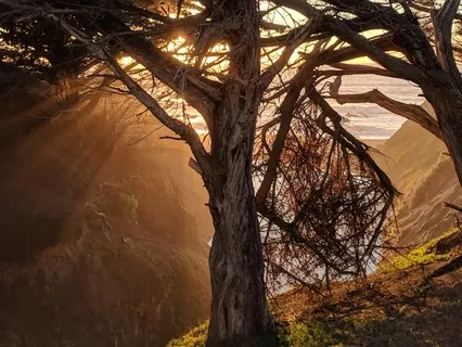 Root Chakra Healing With EFT And Yoga Nidra