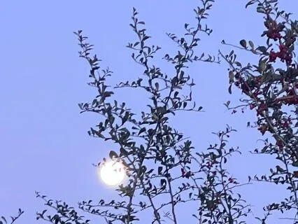 Root Chakra - Know Your Value