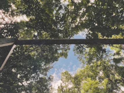 Root Chakra Light Language Transmission