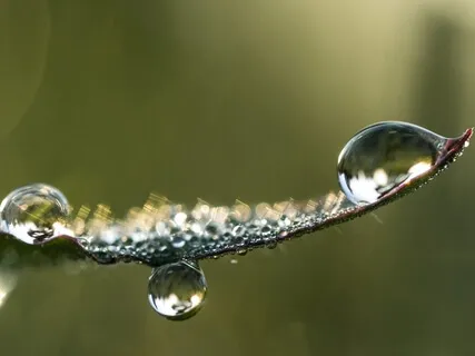 Root Chakra Meditation