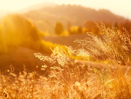 Root Chakra Practice For Grounding