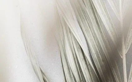 Root Chakra Meditation