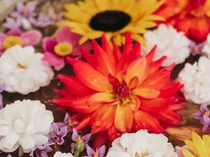 Root Chakra Meditation