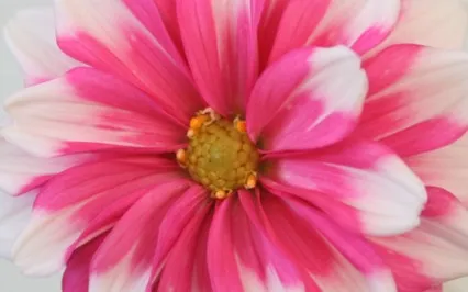 Root Chakra Meditation 