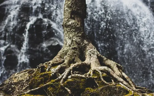 Root Chakra Meditation | Crystal Singing Bowl 432Hz