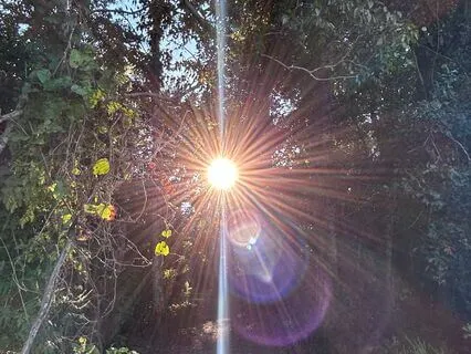 Root Chakra Meditation For Grounding, Safety & Alignment