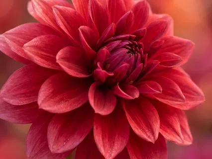 Root Chakra Meditation Music