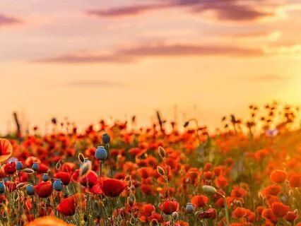 Root Chakra Meditation