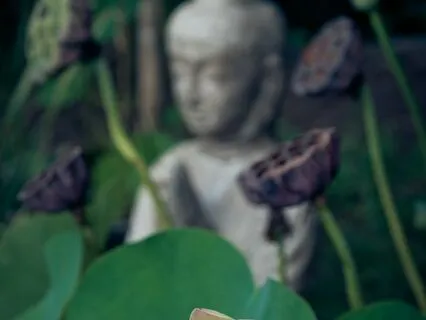 Root Chakra Monochord Meditation