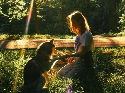 Root Chakra Reiki To Feel Safe With Your Pet