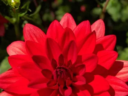 Root Chakra Rejuvenation