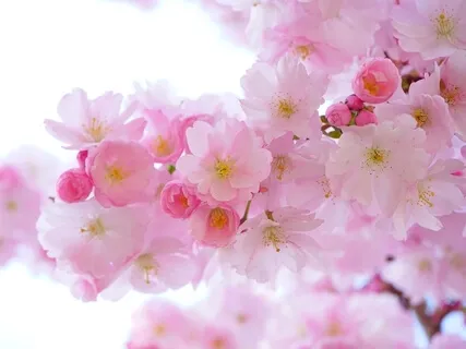 Relaxing Music For Root Chakra