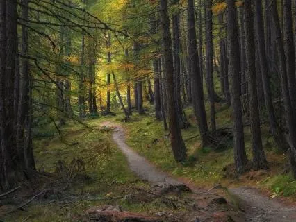 Root Chakra Reset: Feeling Safe And Grounded