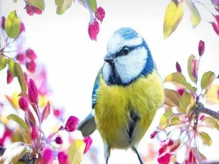 Root Chakra Sound Meditation