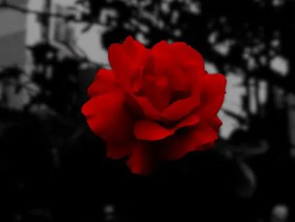 Root Chakra With Tuning Forks