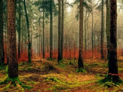 Root Chakra Writing Meditation Grounding Your Creative Roots