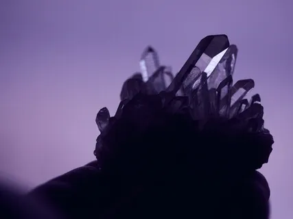 Root Chakra - Your Inner Roots