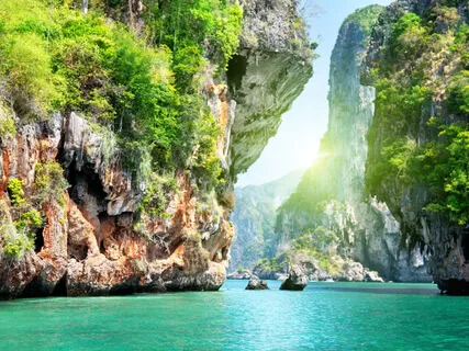 Root Down To Rise Up - A Healing Practice For Mother Earth