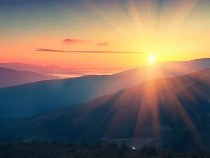 Root Down To Rise Up