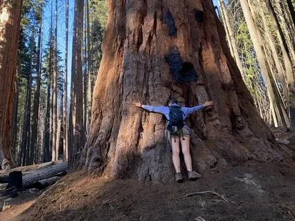 Root Down Your Root Chakra