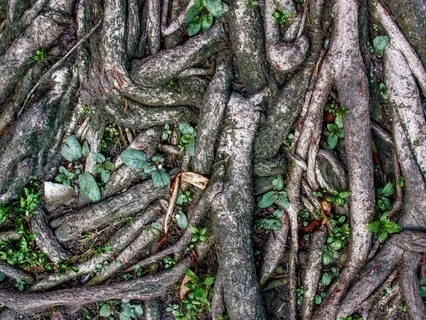 Root & Heart Chakra Sound Healing – 396Hz