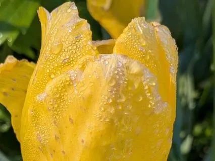 Root | Mindful Motivation