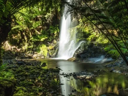 Root Resonance (Root Chakra Sound Healing Journey By ALUNA)