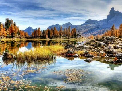 Root To Radiance: Ground With Earth’s Warm Light