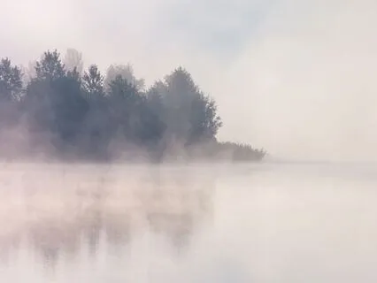 Rooted Calm: A Meditation For Stress Relief In Perimenopause