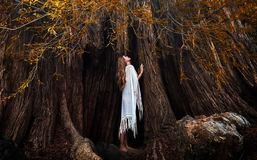 Rooted - Grounding & Visualization Meditation