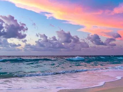 Rooted Growth: Grace And Gratitude