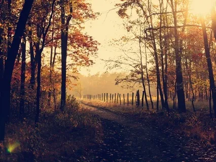 A Meditation For Autumn