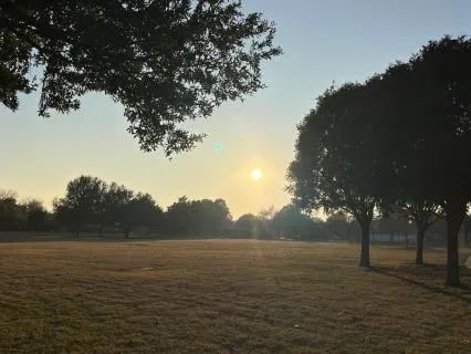 Rooted Intention | A Gentle Meditation For The New Year