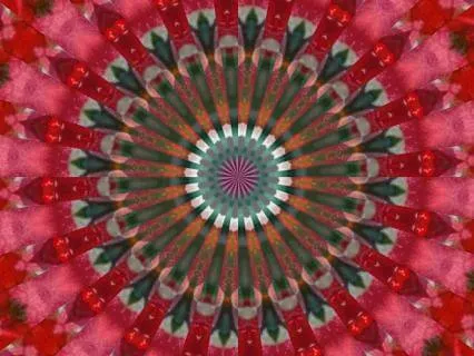 Rooted - Mandala Card Of The Day