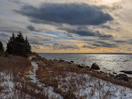 Rooted Recovery: Slow Mobility For Healing