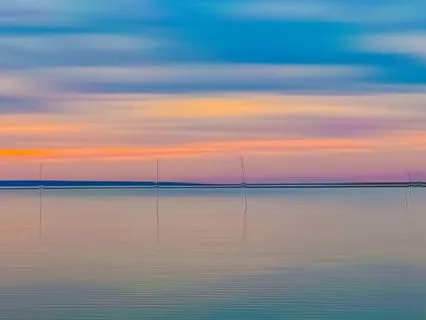 Rooted Rest: Yoga Nidra For Grief