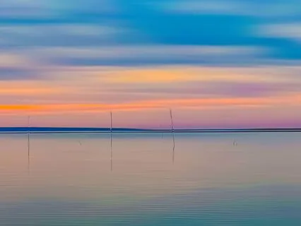 Rooted Rest: Yoga Nidra