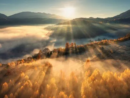 Rooted Rise: A Purposeful Morning Meditation