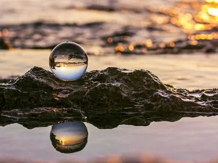 Rooted Through The Chaos: A Meditation For Unrelenting Times