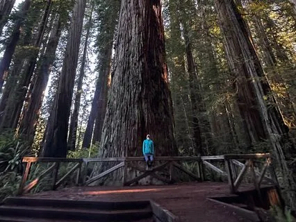 Rooting And Grounding Meditation