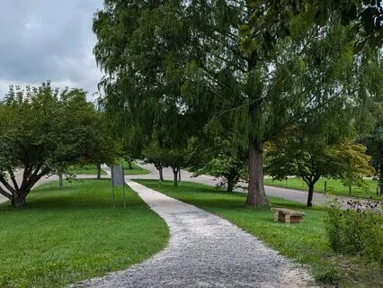 Rooting Into Presence