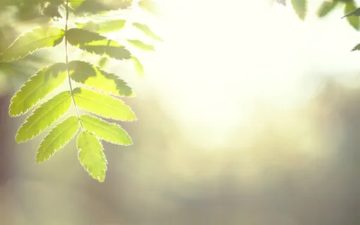 Rooting Like A Tree—A Practice For Kindergarten To 2nd Grade